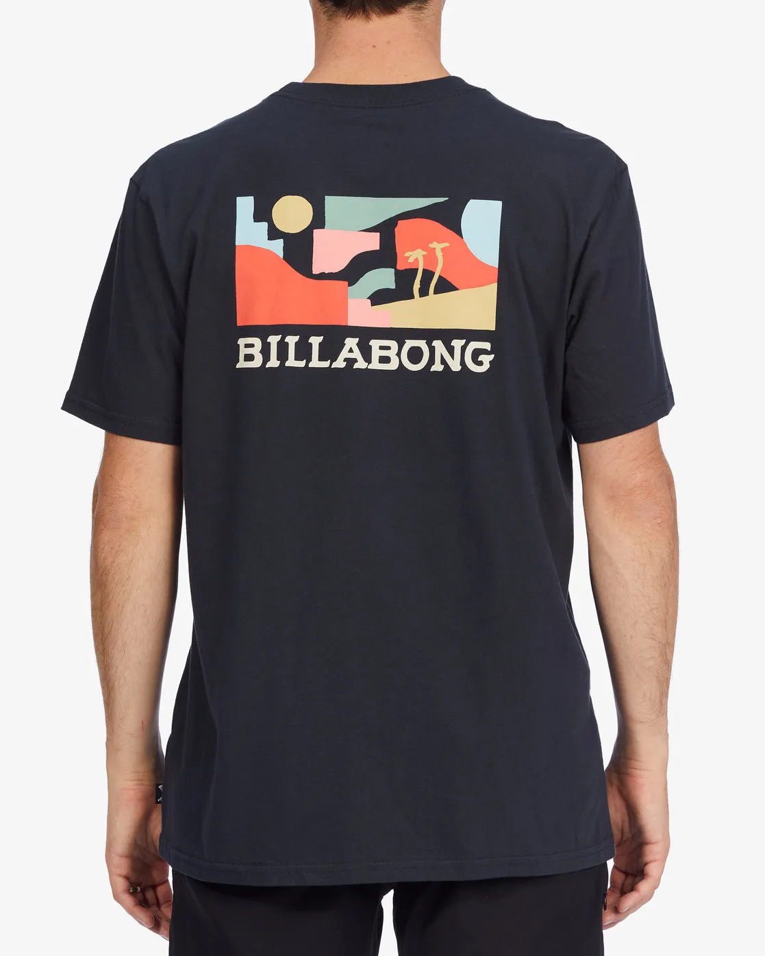 Billabong Segment Short Sleeve T-Shirt - Washed Black
