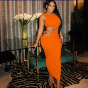 Indecent Exposure Dress