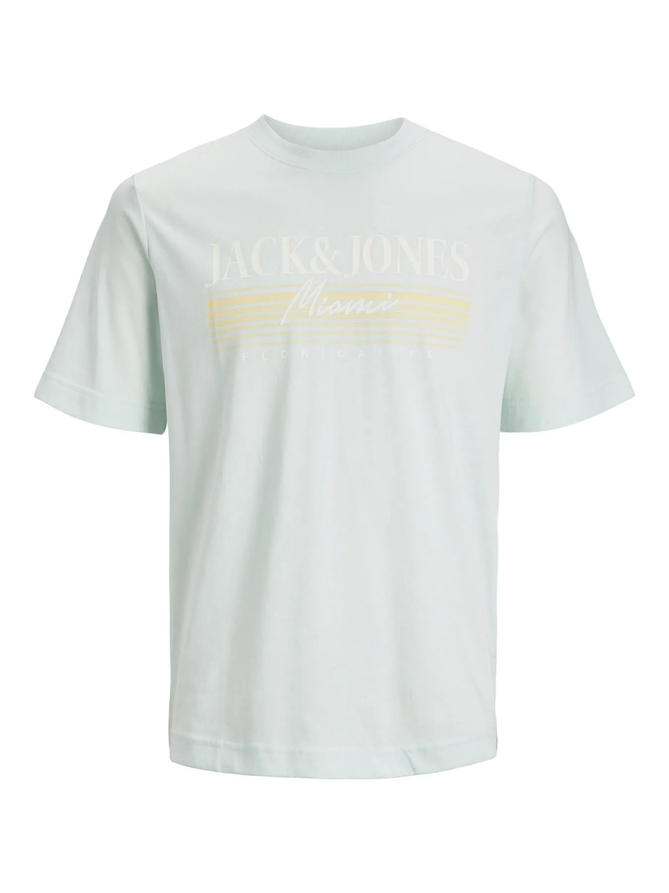 Jack & Jones (12240552) Men's Plus Size JORPALMA Branding T-Shirt in 2 Colours 1XL to 6XL