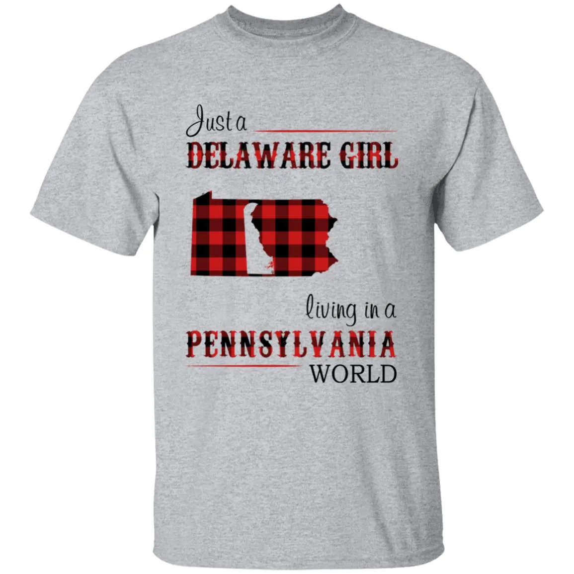 Just A Delaware Girl Living In A Pennsylvania World T-shirt