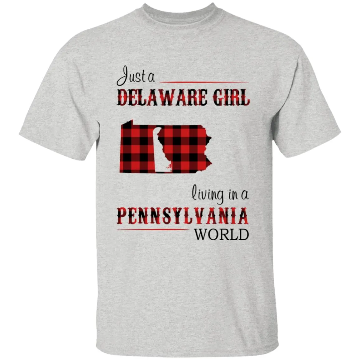 Just A Delaware Girl Living In A Pennsylvania World T-shirt