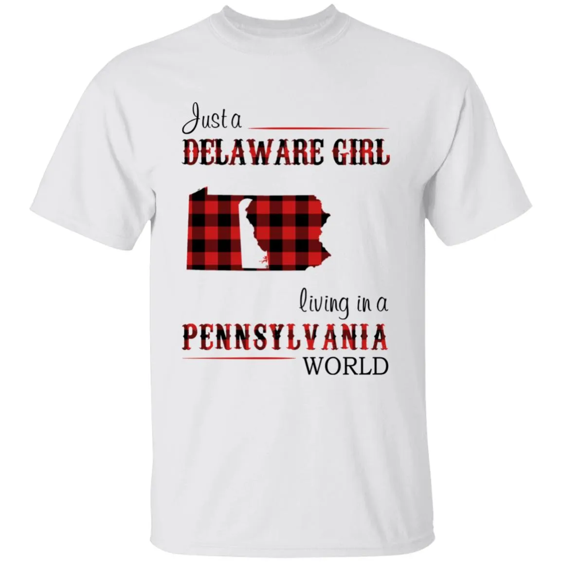 Just A Delaware Girl Living In A Pennsylvania World T-shirt