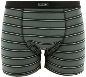 KicKee Pants Zebra Succulent Kenya Stripe Men's Boxer Briefs