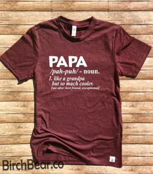Papa Shirt - Papa Shirts  - Papa Definition Shirt - Funny Papa TShirt - Gift for Papa Unisex Tri-Blend