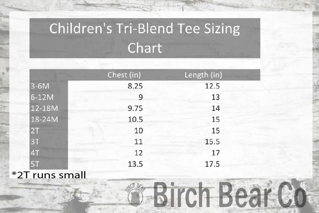 Ring Leader Shirt - Circus Birthday Shirt - Kids Circus Shirt