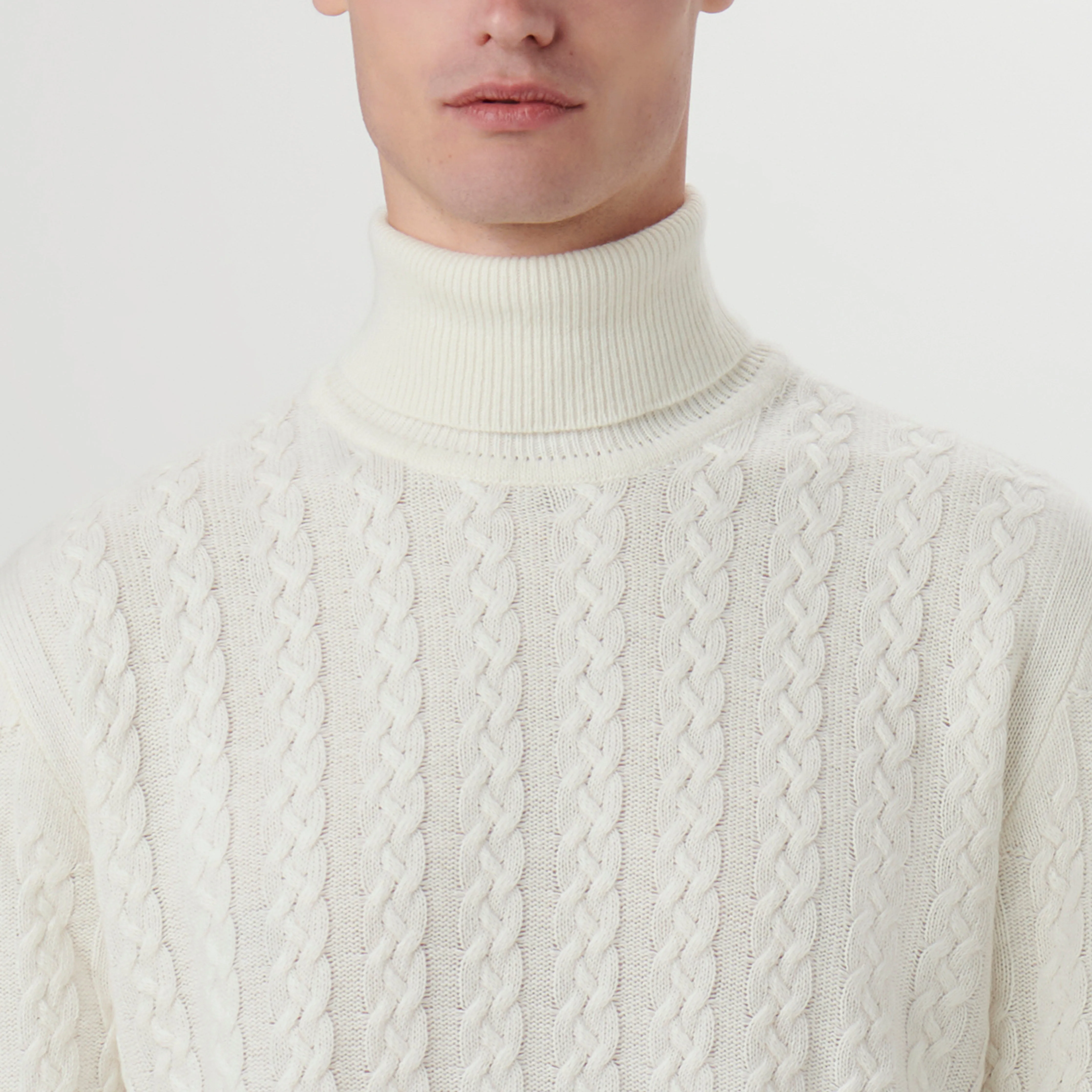 Solid Cable Turtleneck Sweater