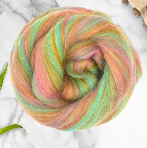 Wool Top/Roving